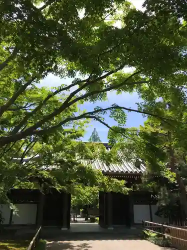 宝珠山　観泉寺の山門・神門