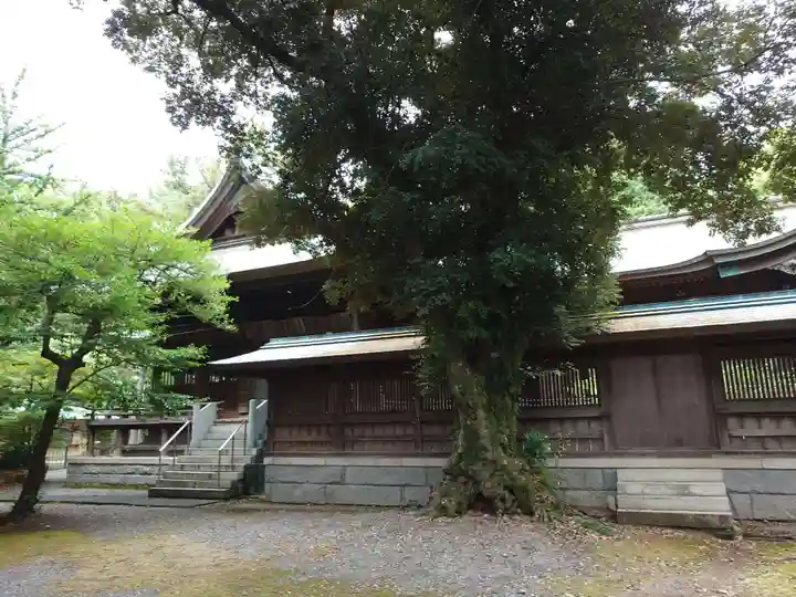 浜松八幡宮(静岡県)