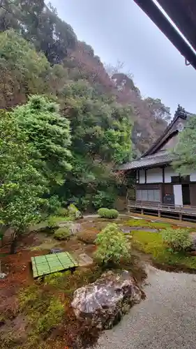 南禅寺の庭園