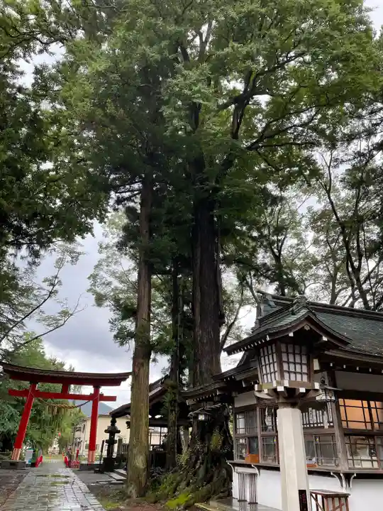 小室浅間神社のその他建物