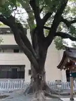 潮江素盞嗚神社の自然