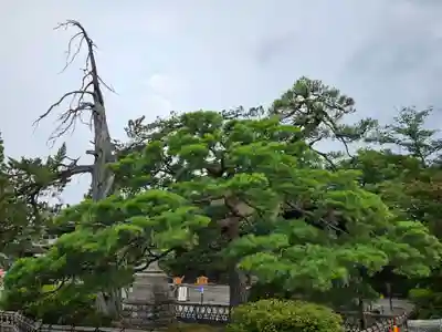 善光寺(長野県)