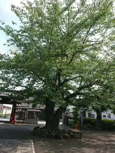 妙善寺のその他建物