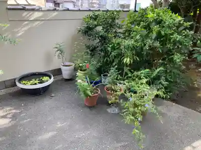 真成院(東京都)