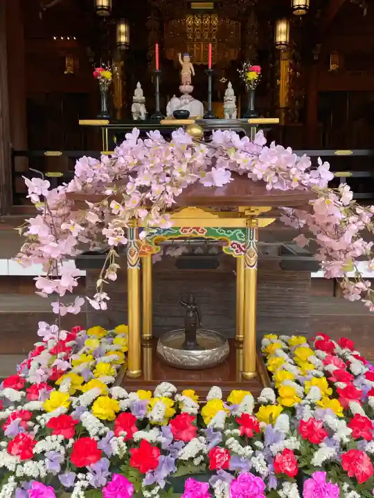安養院(東京都)