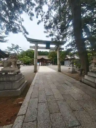 長浜八幡宮(滋賀県)