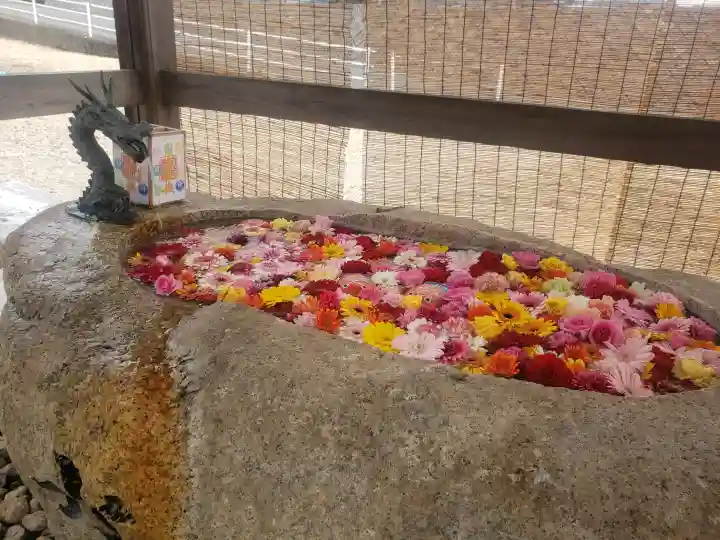 金井神社の手水舎