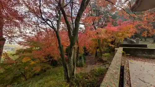 若山神社(大阪府)