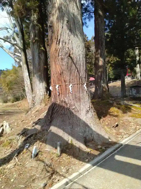 熊野神社(宮城県)