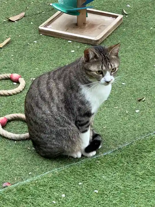 王子神社(徳島県)