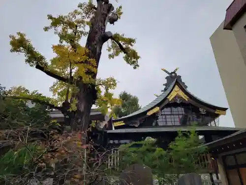 素盞雄神社のその他建物