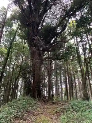 側鷹稲荷大明神(千葉県)