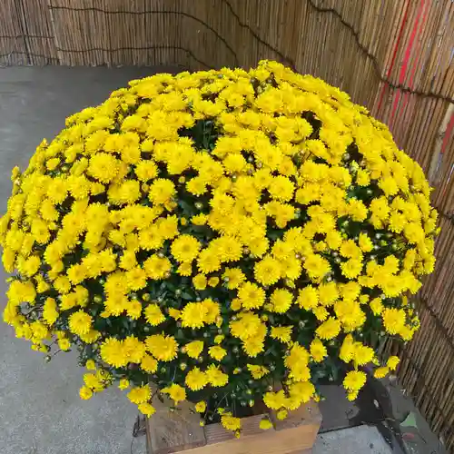 明王院（満願寺別院）の自然