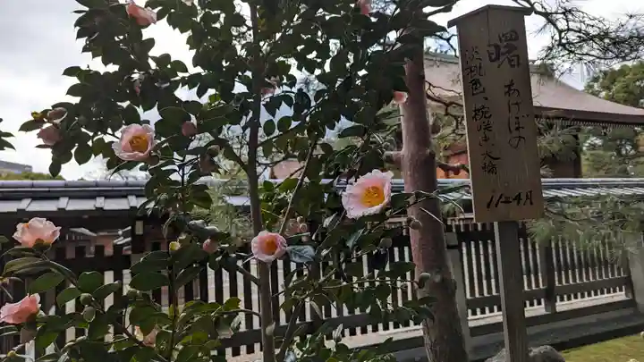 城南宮(京都府)