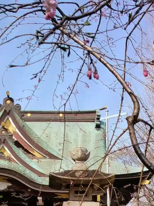 諏訪神社(東京都)