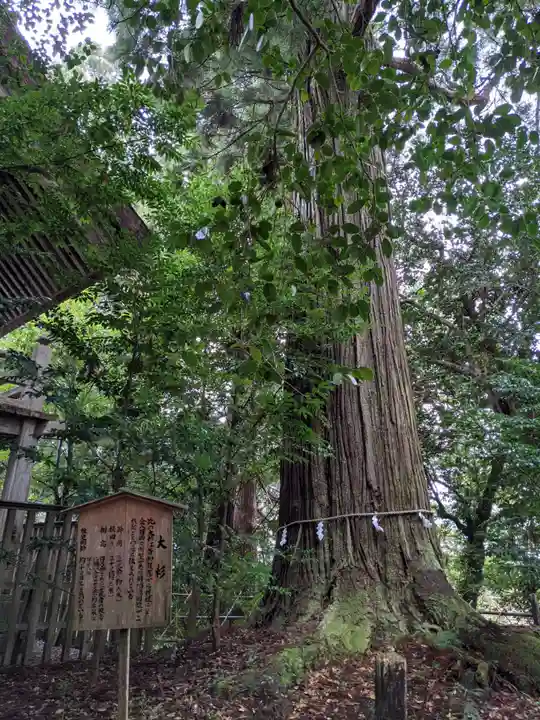 須佐神社(島根県)