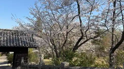 吉備津岡辛木神社(岡山県)