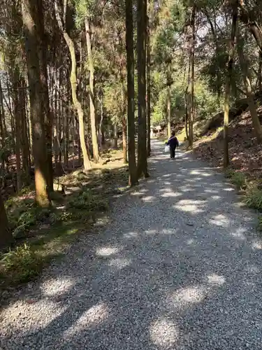 出雲大神宮の自然