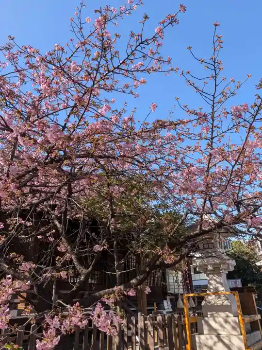 新宿下落合氷川神社(東京都)