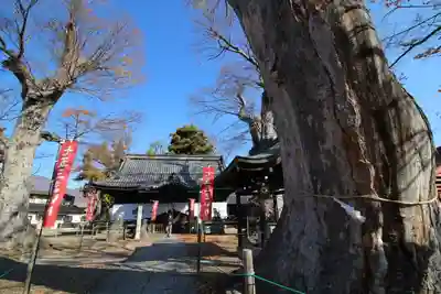 科野大宮社のその他建物