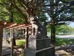 亀田八幡宮の狛犬