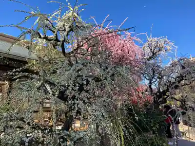 結城神社(三重県)