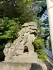 松戸神社の狛犬