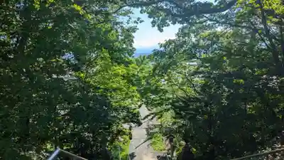 大樹神社の景色