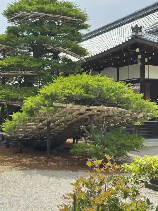 鹿苑寺(金閣寺)(京都府)
