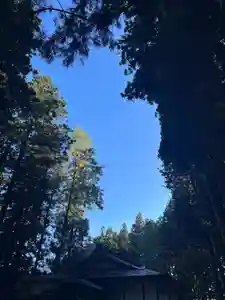 大宮温泉神社(栃木県)(2022年10月27日(木) 07時18分54秒投稿)