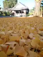 西福寺(愛知県)