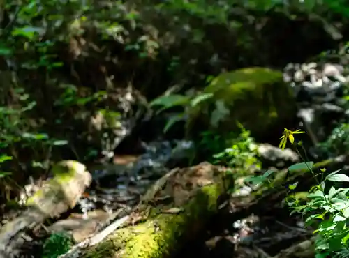 諏訪大社(長野県)