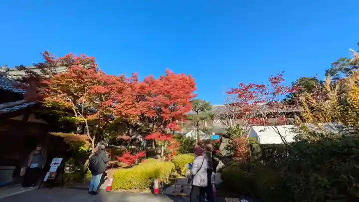 天得院(京都府)