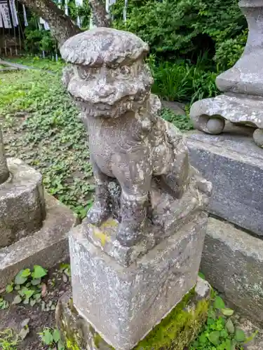 白旗神社(西御門)の狛犬