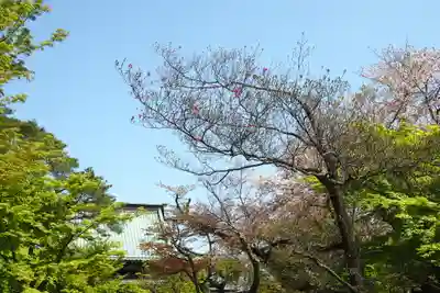 豪徳寺(東京都)
