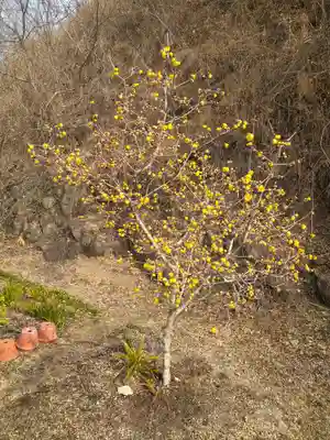神前神社の自然