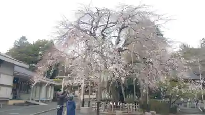 新町御嶽神社(東京都)