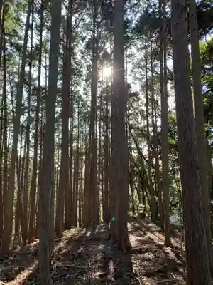 三峰神社の自然