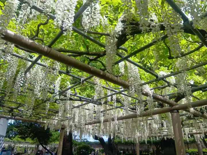 曼陀羅寺(愛知県)
