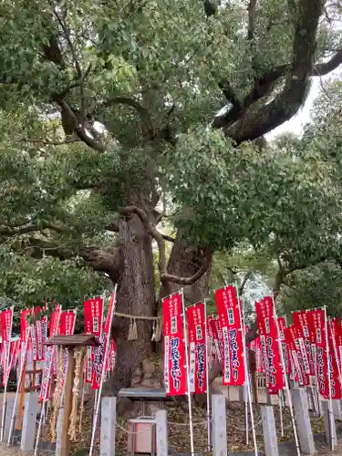 住吉大社の自然