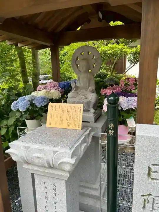 岡寺(龍蓋寺)(奈良県)