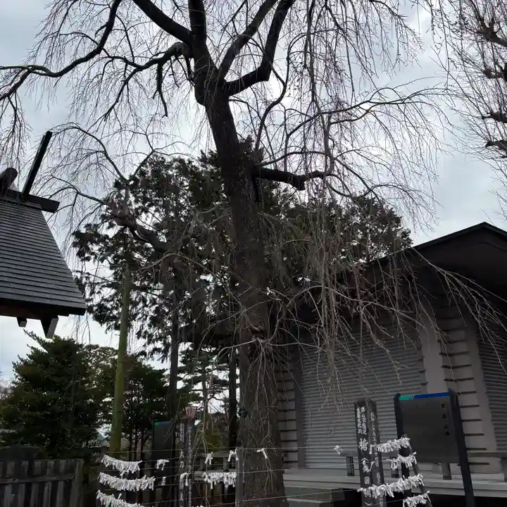 開成山大神宮(福島県)
