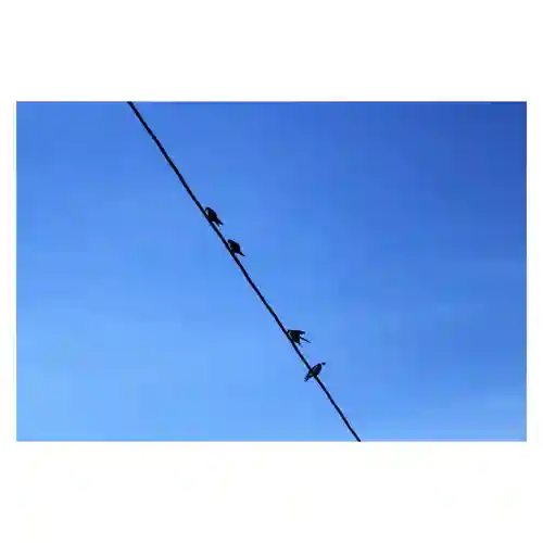 岐阜稲荷山本社(岐阜県)