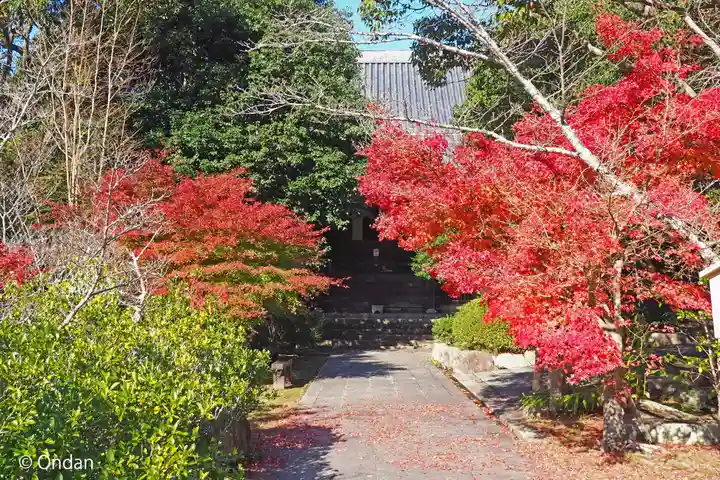 太山寺(兵庫県)