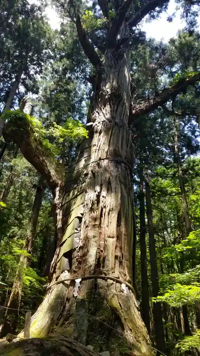 志和稲荷神社の自然