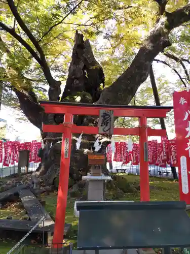 秩父今宮神社(埼玉県)