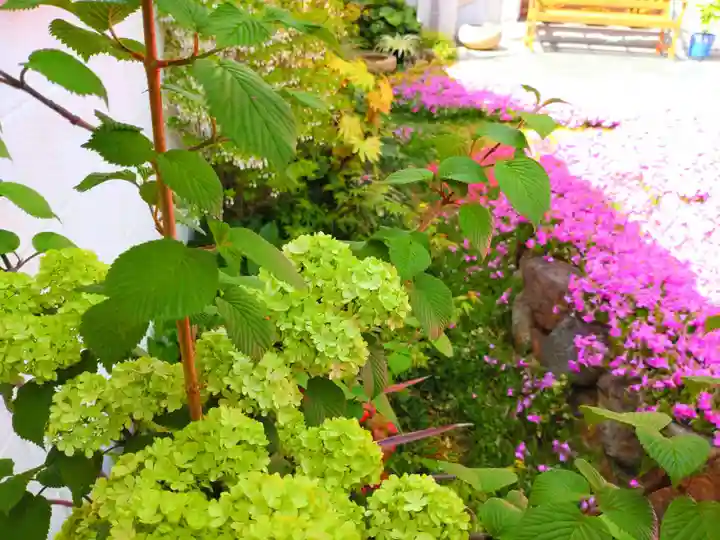 寿量山 速成寺(奈良県)