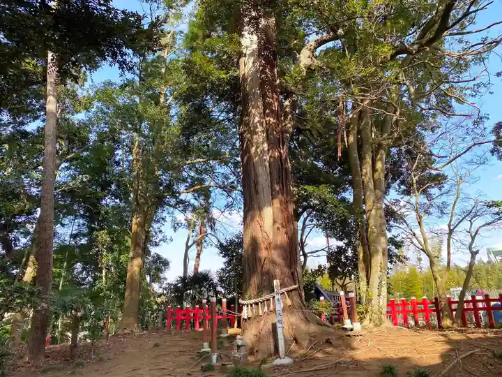 麻賀多神社奥宮のその他建物