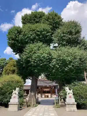 亀ケ池八幡宮のその他建物