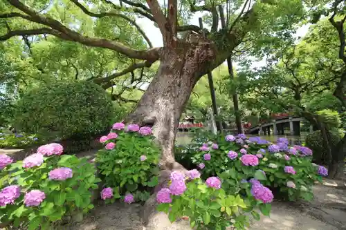 太宰府天満宮の庭園